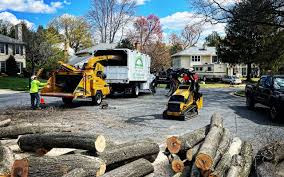 Best Leaf Removal  in Forest Park, GA